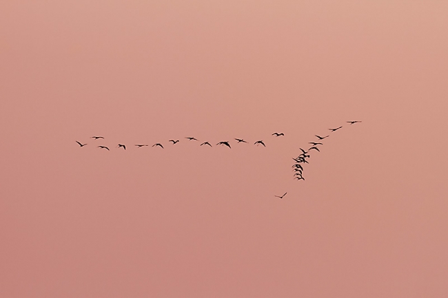 Inlé-coucher de soleil-002